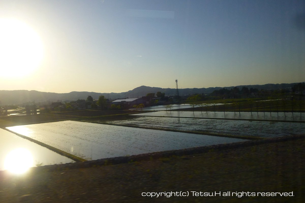 Tetsu Hirai@低浮上 tweet media