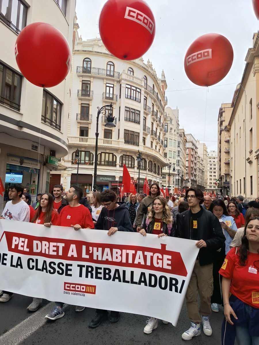 🔻Isa Barrajón del Amo tweet media
