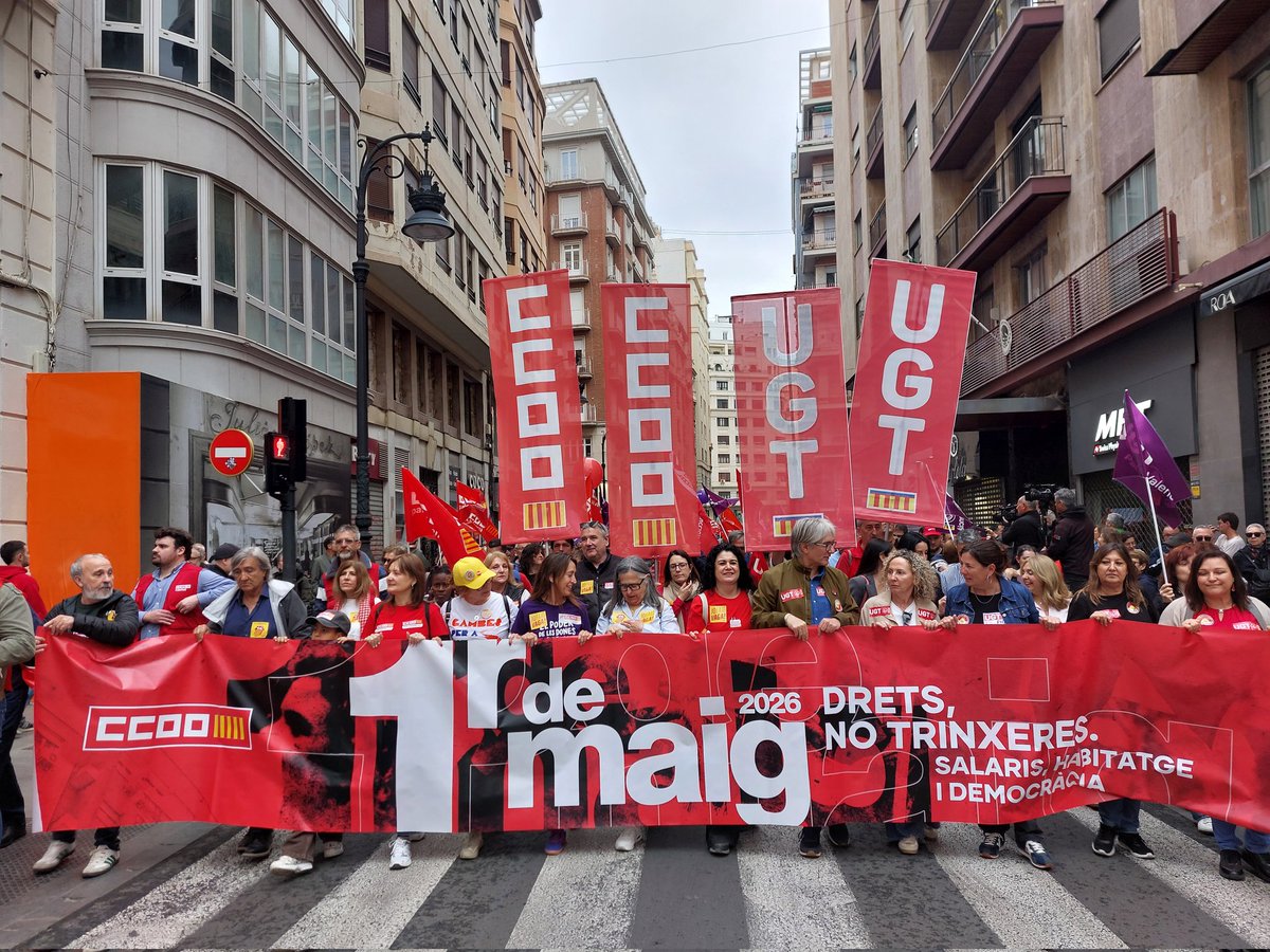 🔻Isa Barrajón del Amo tweet media