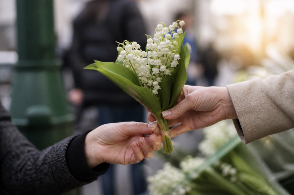 PositiveActu's tweet image. 🌼 1er mai.

Des gens fatigués, pressés, stressés…
et au milieu de tout ça,
un petit brin de muguet offert sans raison.

Rien à vendre.
Rien à prouver.
Juste dire : “je pense à toi”.

Dans un monde qui va trop vite,
ça fait du bien de ralentir un peu. 💚

⸻

#1erMai #Humanité