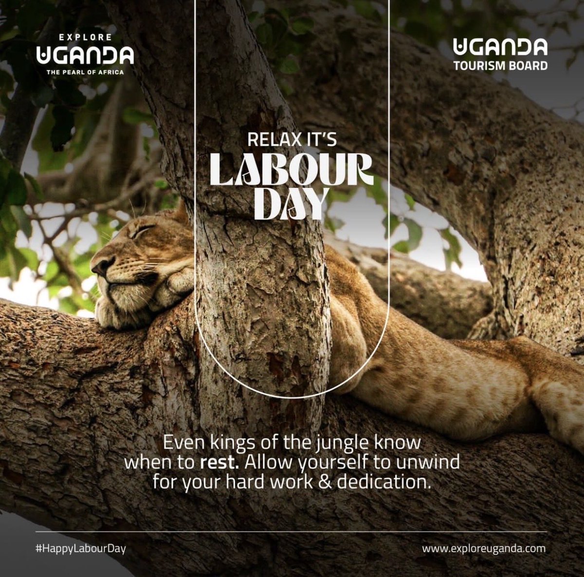 simplcious's tweet photo. Its okay to take a day off, relax.

Happy Labour day everyone https://t.co/E34jcZT8Cs