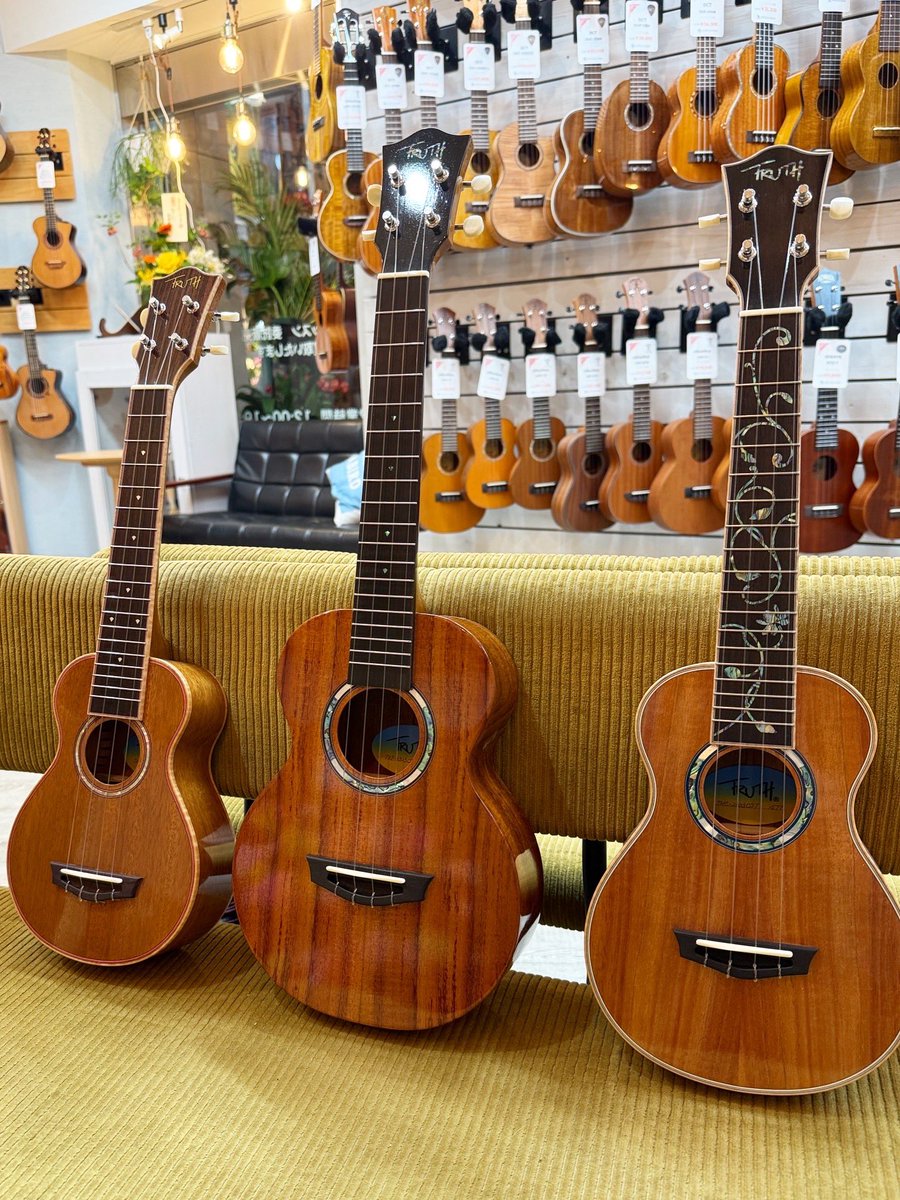 UKULELE BIRD tweet media