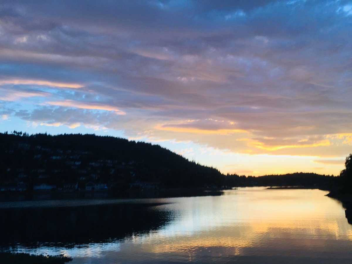 meikagallery's tweet image. Night begins to gather between water and sky,
as the last trace of light dissolves into the horizon.

#Nightfall #Photographer #Waterscape