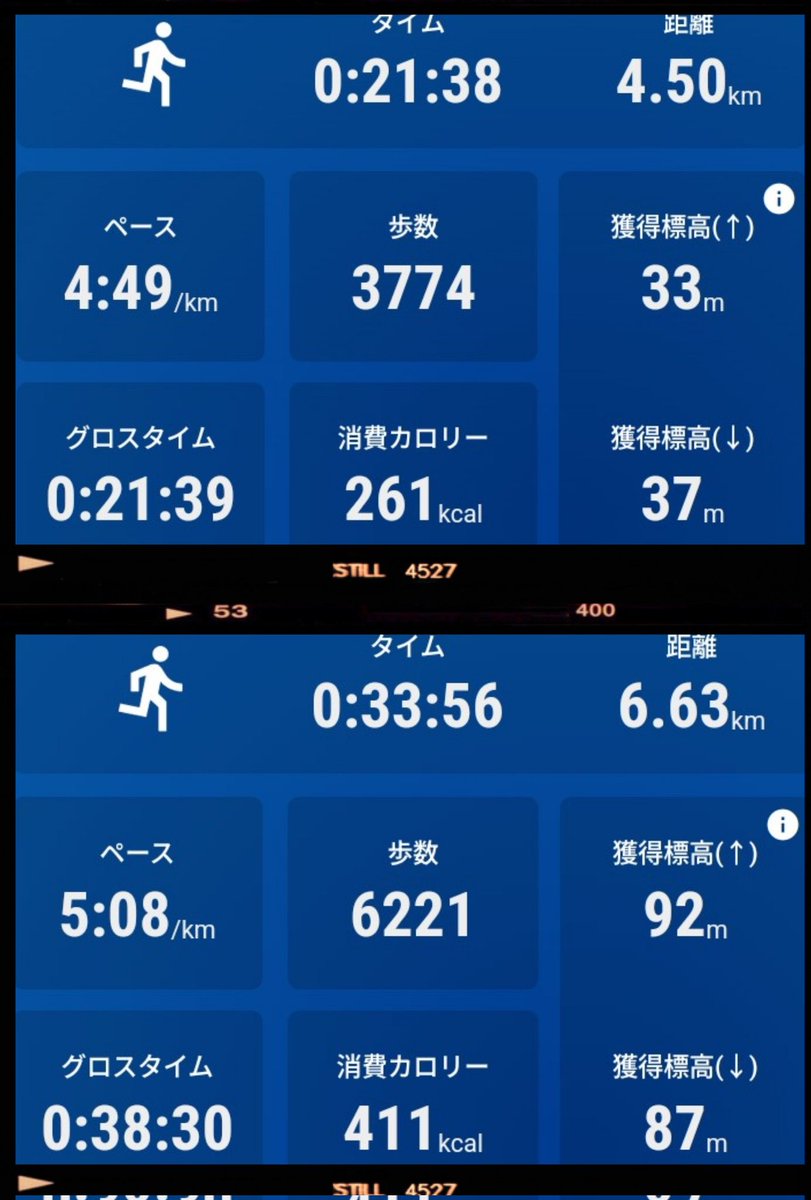 ゴンドワナ tweet media