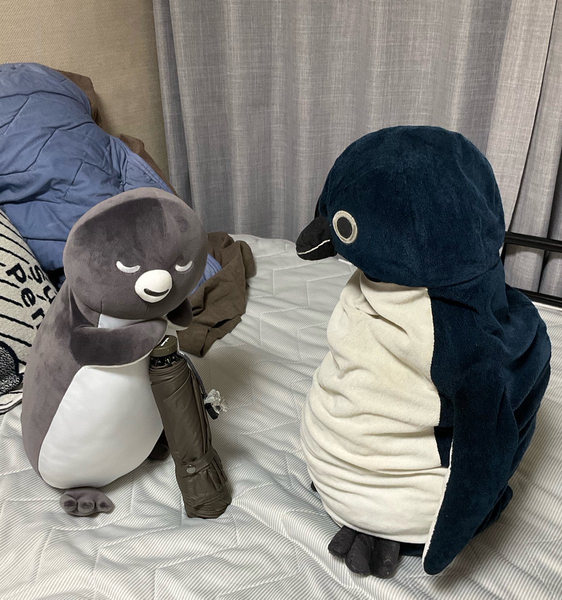 あんた…ただのアンマさんじゃないな