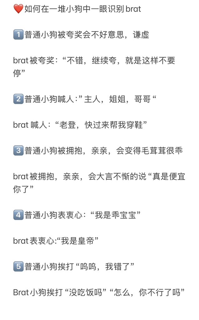小狗老师KK tweet media