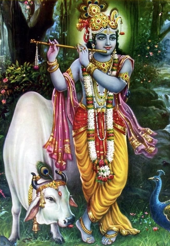 hourly krishna tweet media