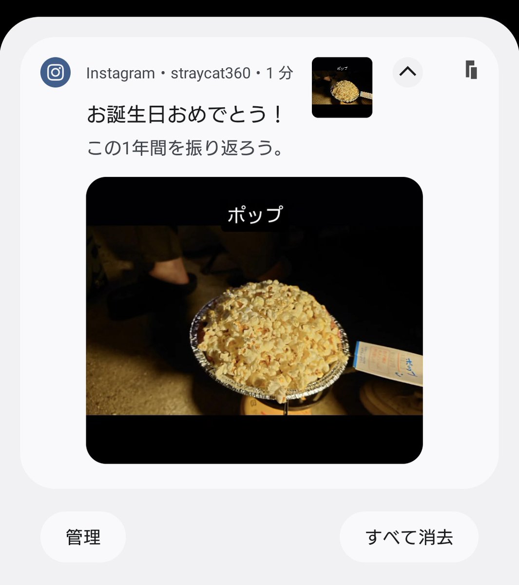 のらねこ tweet media