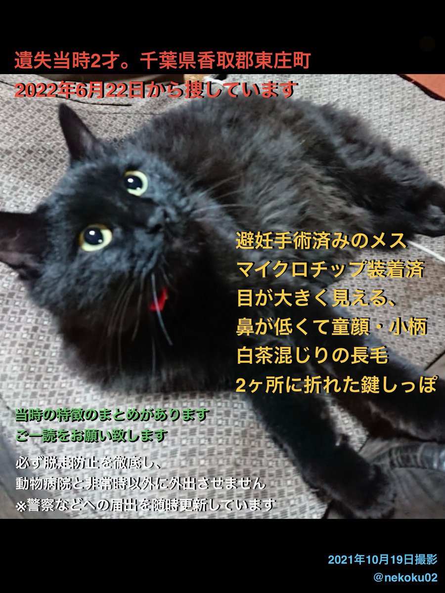 お黒さん専用ページ(*^^*) Z927RM 〜anniversary〜 』 本物のフォトグラファーの作品 Photo