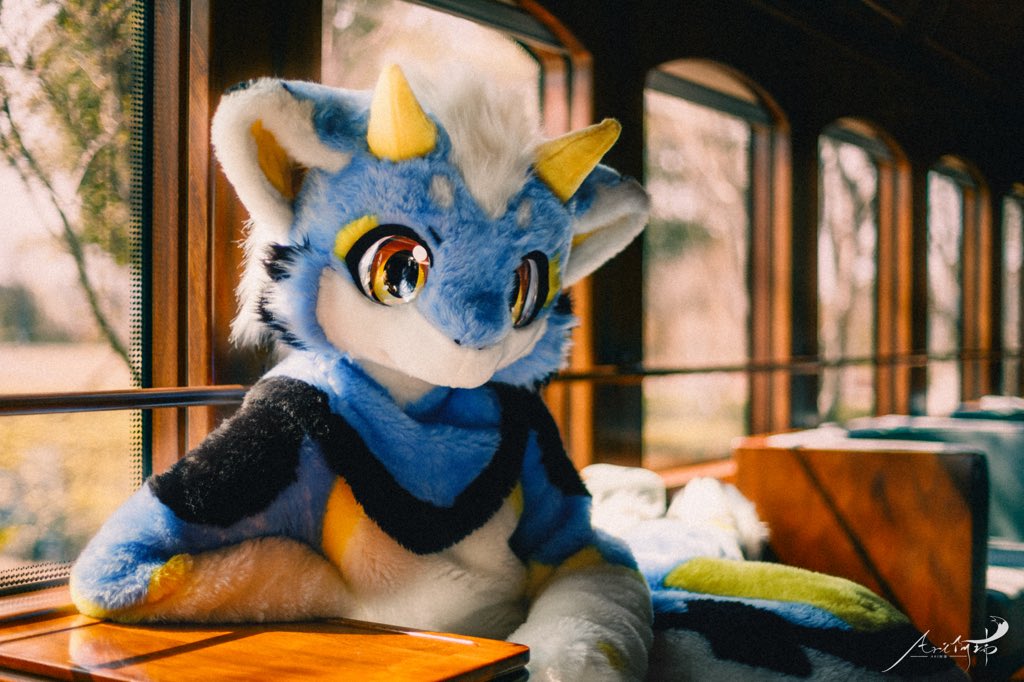 Classmate_Kui's tweet photo. Hifurryで会えるかも！

#FursuitFriday 
📷@FurryCineDream https://t.co/AJO5o3rJkS