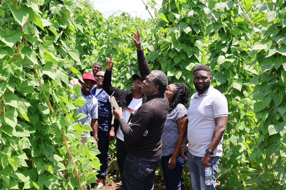 mbutajoe's tweet photo. Yesterday, we were privileged to host a delegation from #CFGB and #MCC Canada and Haiti, where they visited our project interventions towards promoting food security through Conservation Agriculture! @AnthonyEgeru @AnthonyEmaru @EllyKajeje . #Foodsecurity https://t.co/uHww4X4GF3