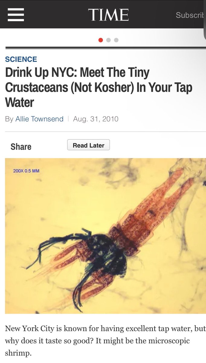 It’s because they’re full of tiny shrimp