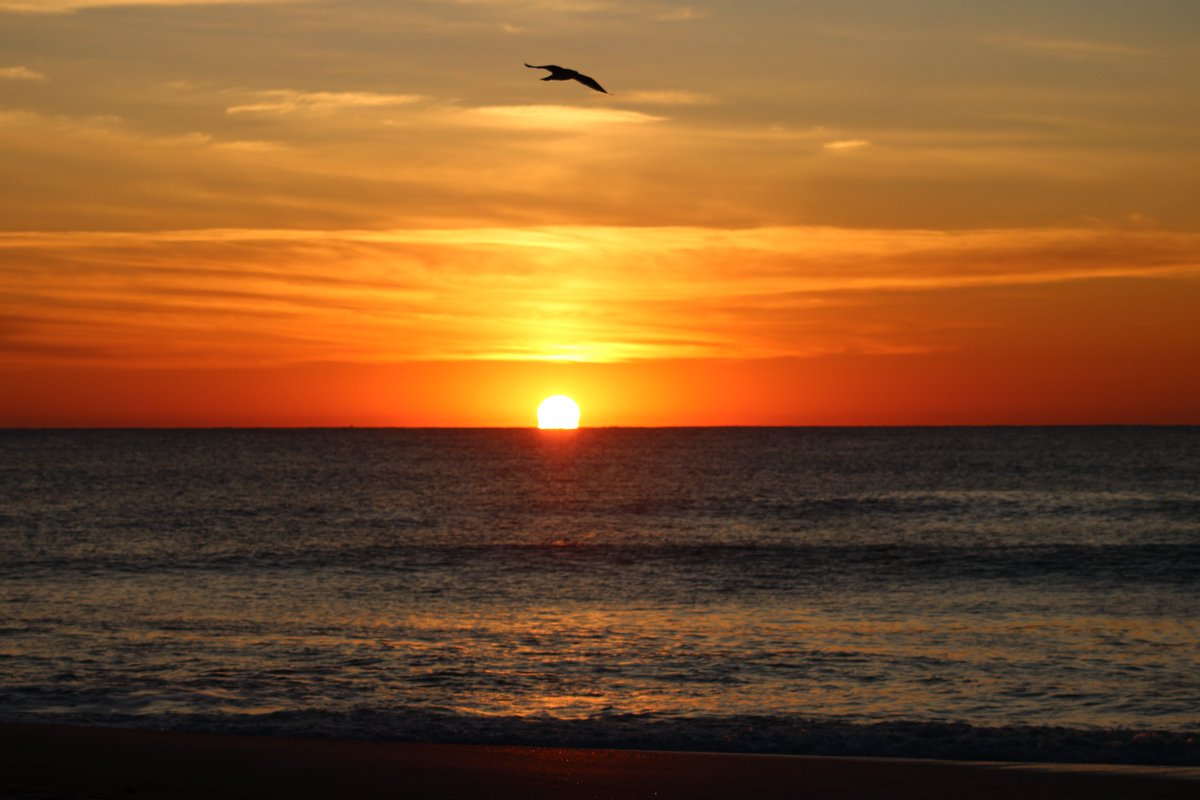 geoffcbrown's tweet image. New Day. New Month. Perfect time to begin something new. ✨ #MOVE