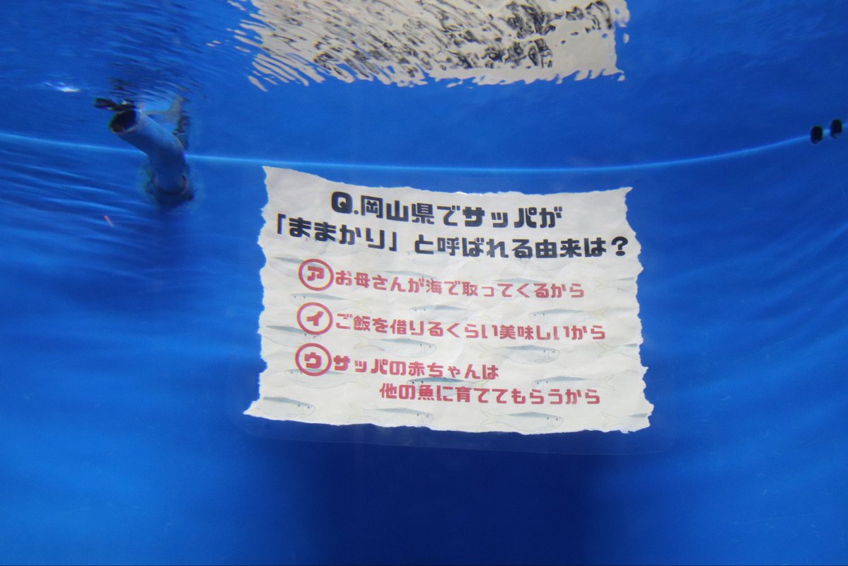 岡山県玉野市【公式】 tweet media