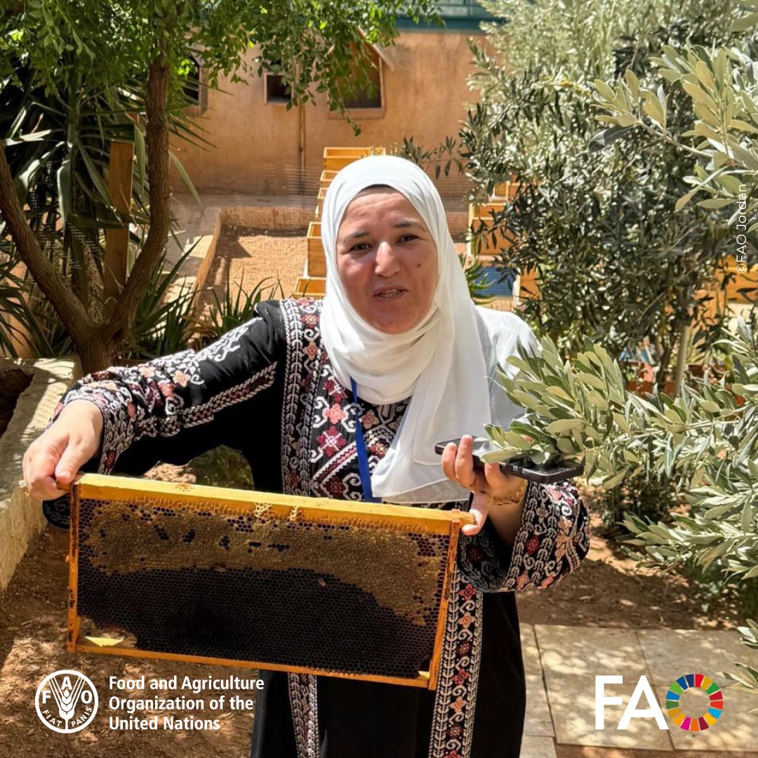 FAOJordan's tweet image. On #LabourDay,we celebrate hardworking #FoodHeroes of #Jordan! 🇯🇴👩‍🌾 🚛👨‍🍳

In partnership with the government &amp;amp; partners, @FAO works to:
🌾 Create sustainable rural jobs
📚 Advance technical skills
🌱 Strengthen agri-food value chains
💡 Empower #women &amp;amp; #youth in the sector