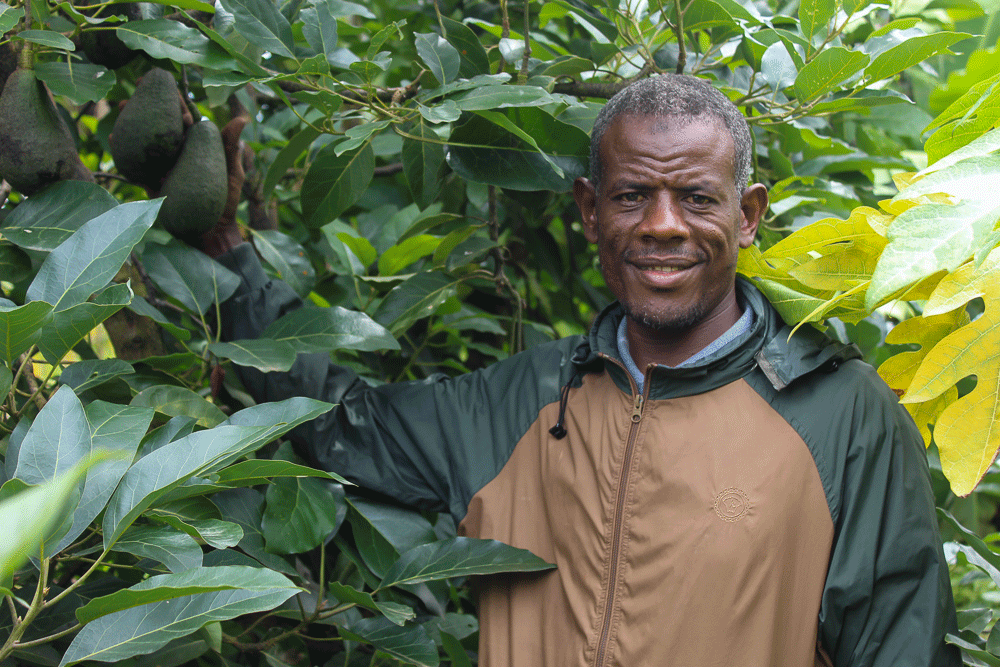 ECFF_09's tweet photo. He learned vermicompost, water harvesting &amp; seedling management through a Climate-Smart Ag project.
Now:
✅ 5 jobs created
✅ 15+ neighbors copying him
✅ Government demo site https://t.co/o42APsMZpT