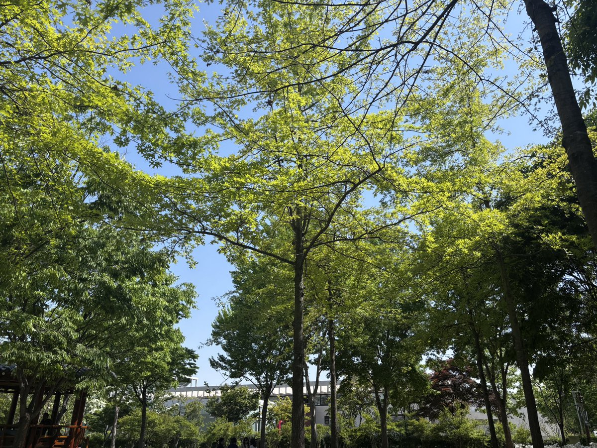 국밥걸 tweet media
