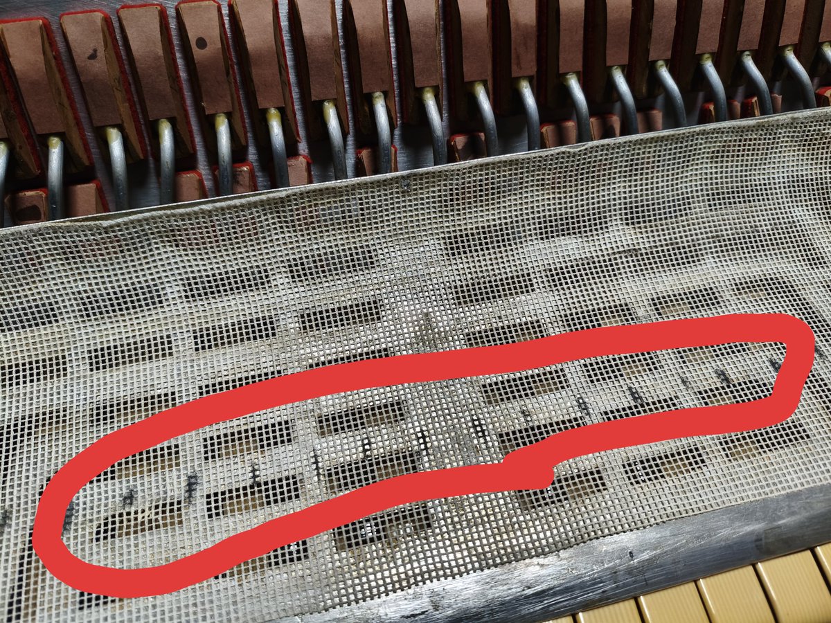 amazon_junklife's tweet image. 鍵盤側のワックスと飾り？と海外の動画で言ってた紙のようなやつを貼りました。
これワックスでくっついてるだけなのかな？
接着力は低め。
あとフロントのカバーが押し込まれたのか？鍵盤を押すと当たるので平らに修正しました。
まだ進行度3割いかないくらいｗ
ここからが…
＃excelsior
#accordion