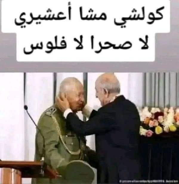 Samia Coffee tweet media