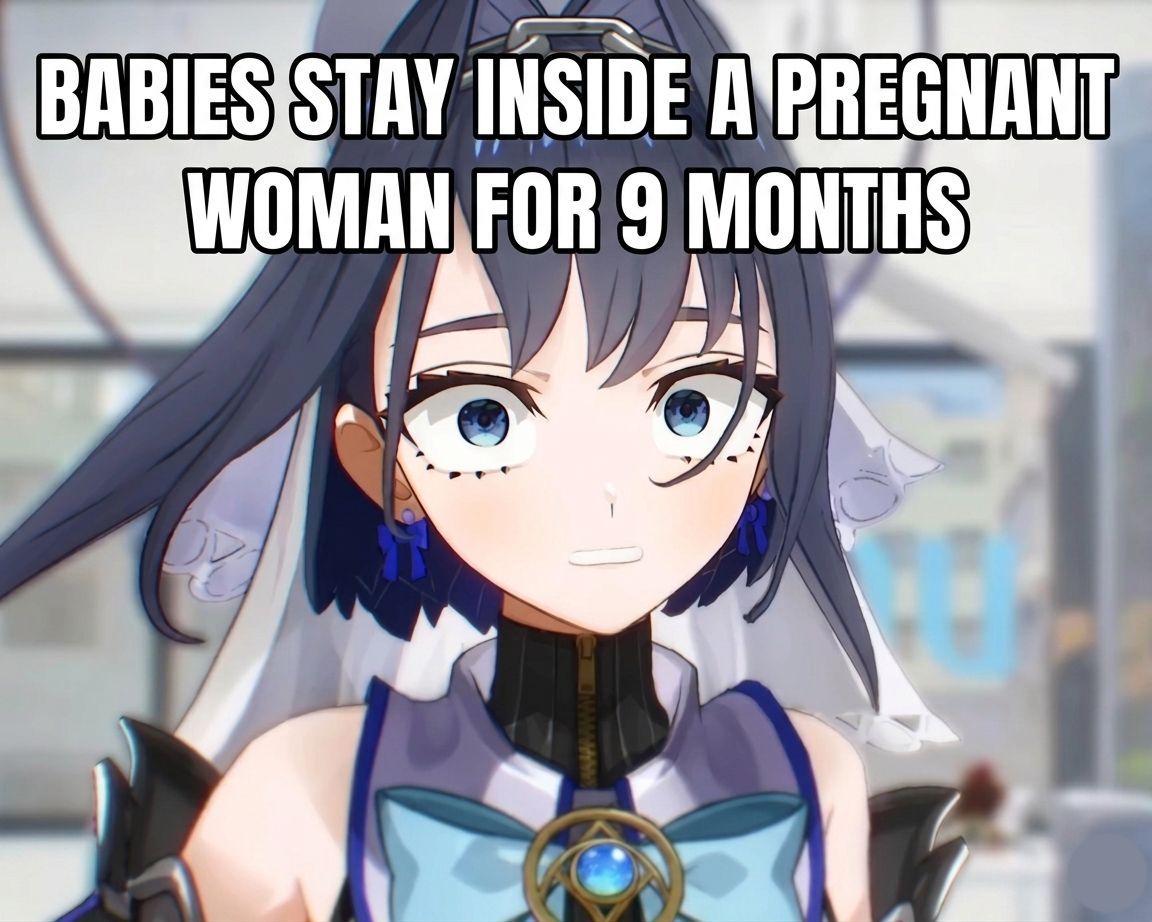 literal memes tweet media