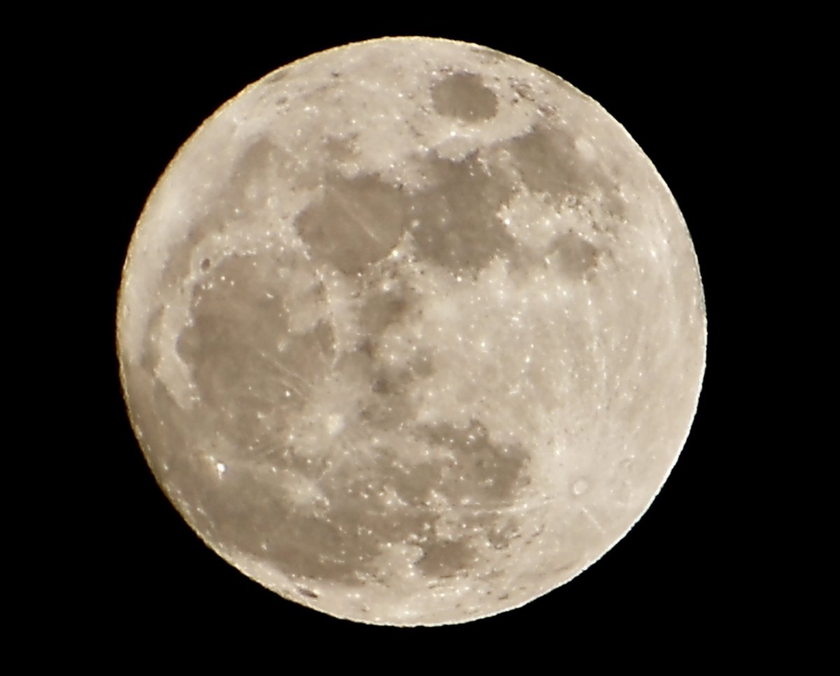 今夜の月
夜中に満月らしい