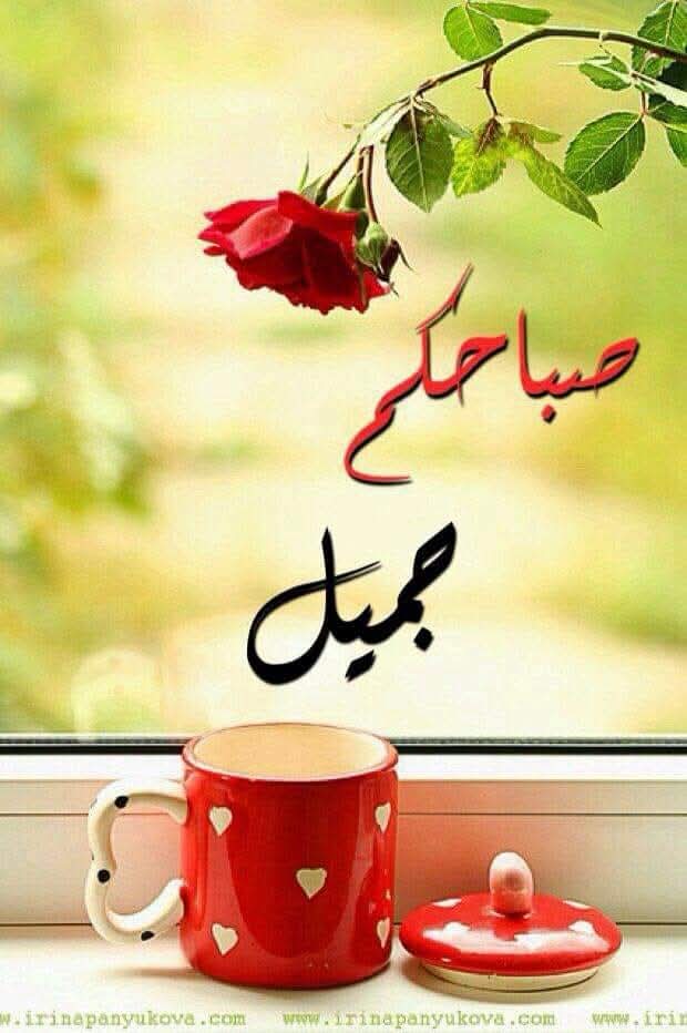 Rdn Aky tweet media