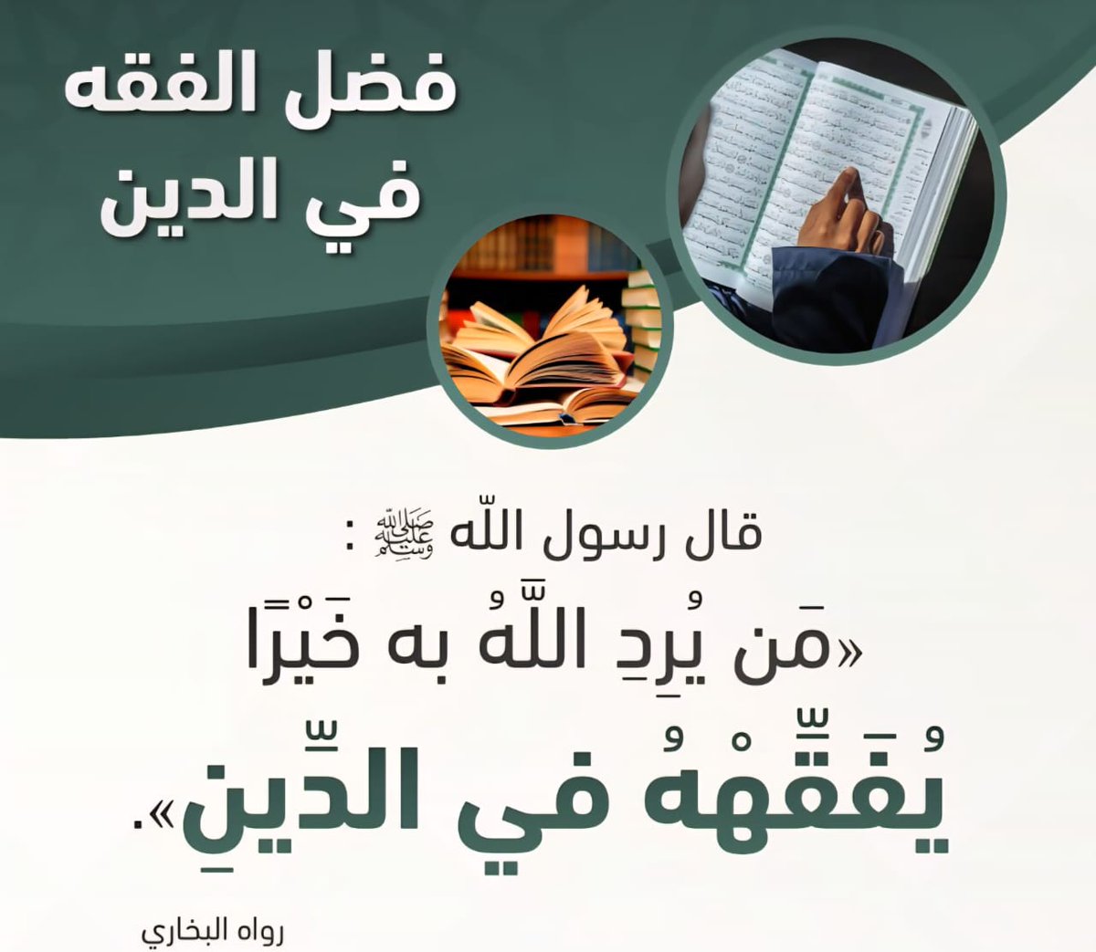 سفير الهدى Safir Elhoda tweet media
