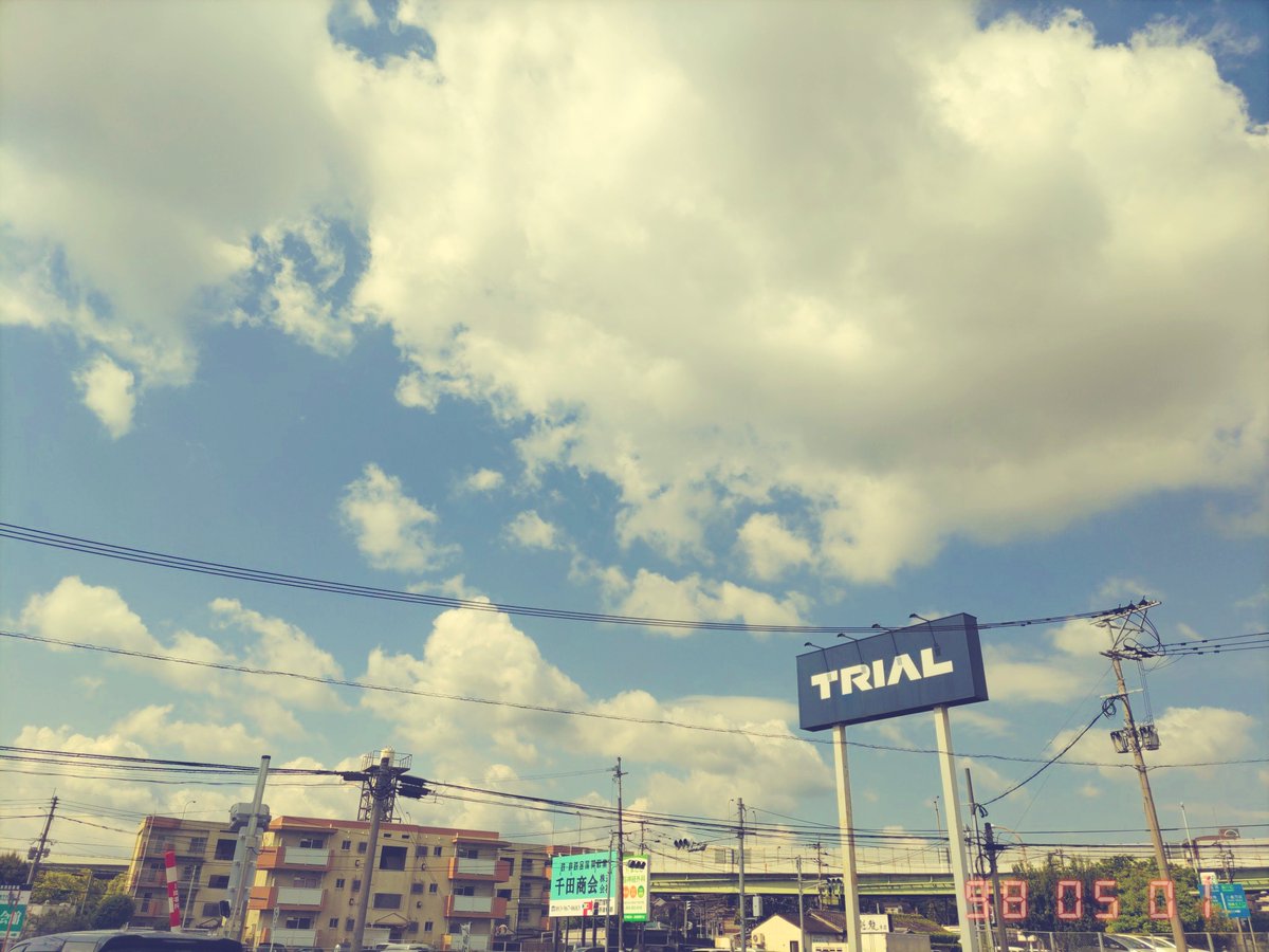 中島ラモス (@marilynmondow) on Twitter photo 