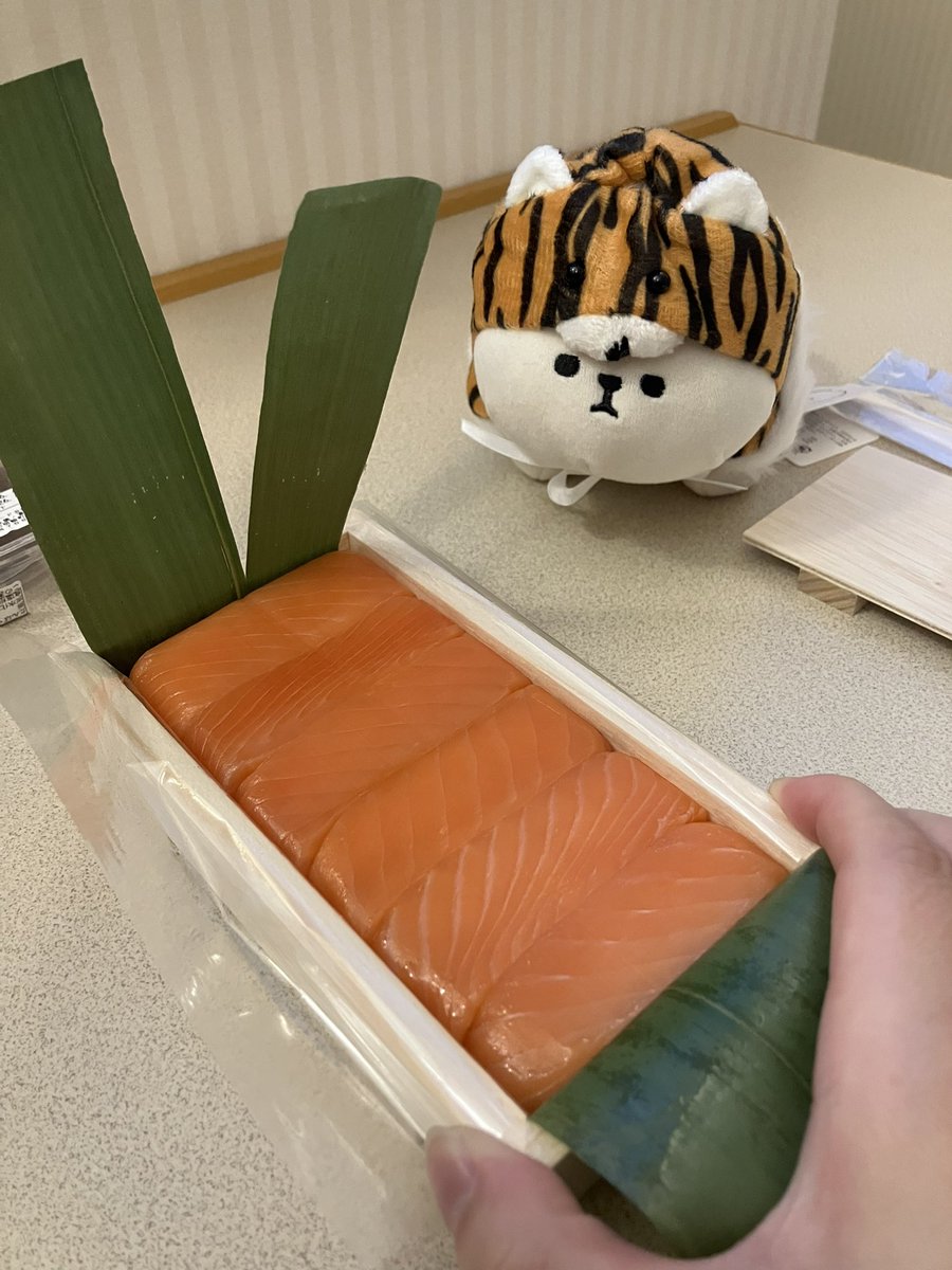 かたでぃー / 片瀬 尋 tweet media