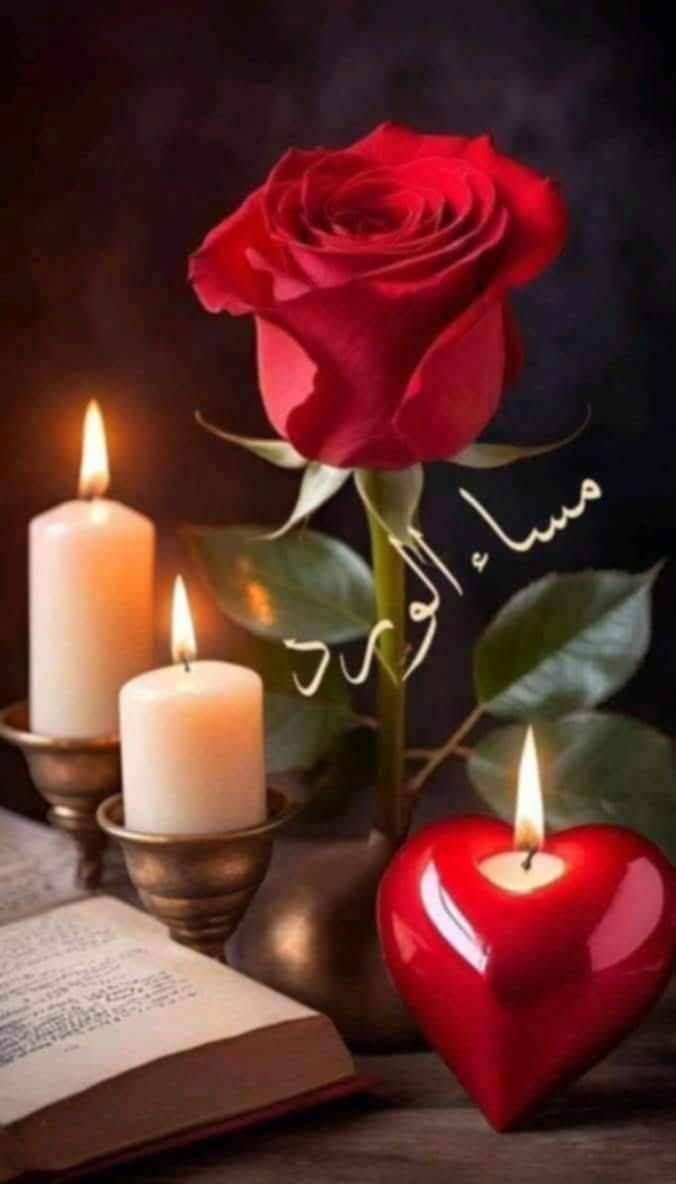 Ali Alqarni tweet media
