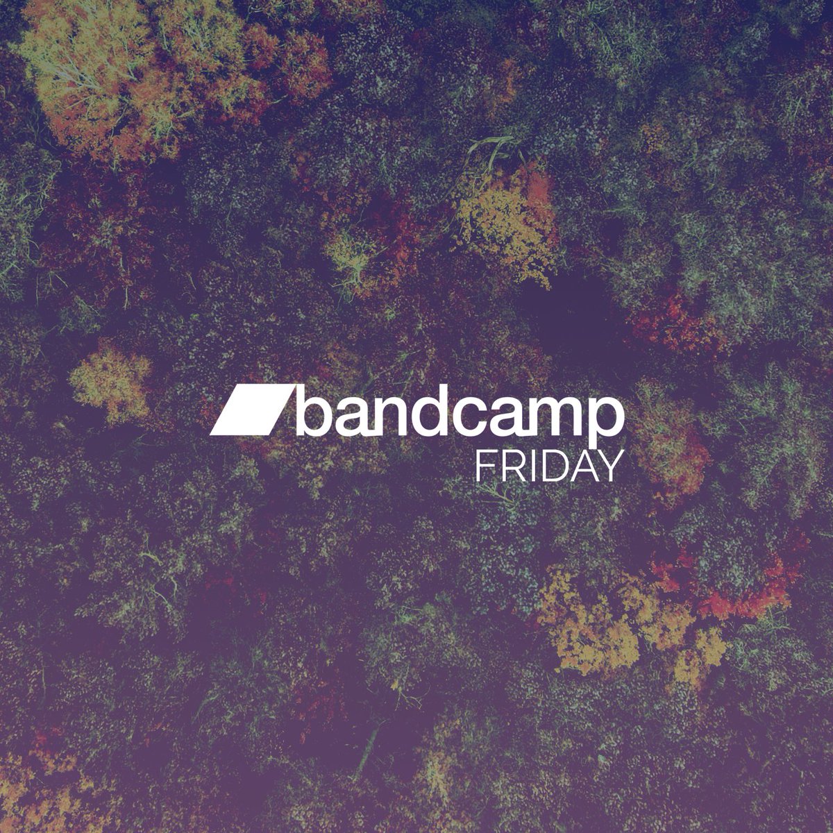solarfields's tweet photo. Today Bandcamp waives their fees, so most of what you spend goes directly to the artist.
https://t.co/i9ucAjmXI1

#solarfields #solarfieldsofficial https://t.co/t02fiRvyyT