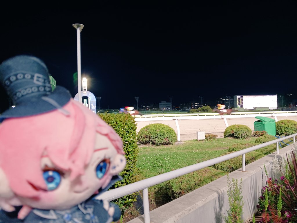 手羽先おいし🥀 tweet media