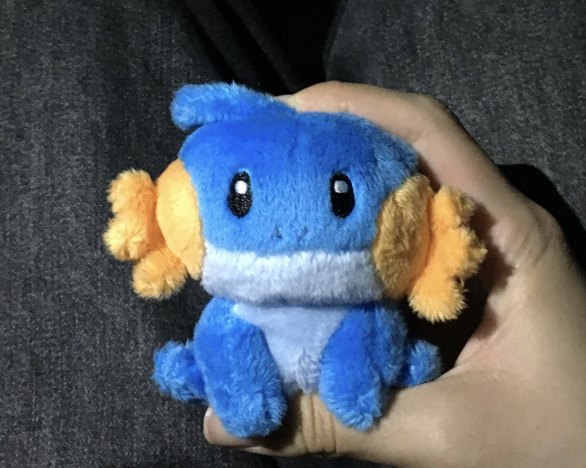 물짱이 찌부