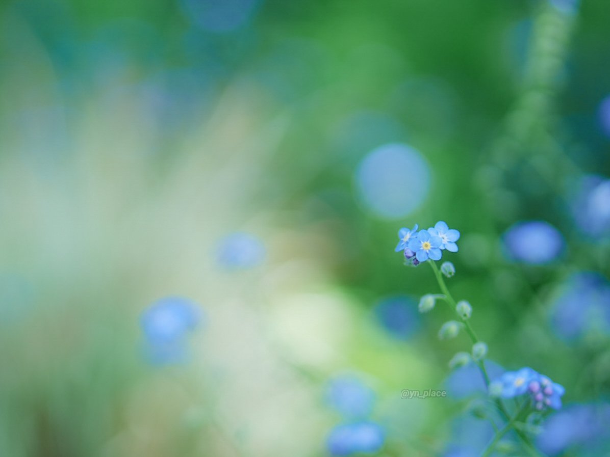 ゆん (@yn_place) / Posts / X