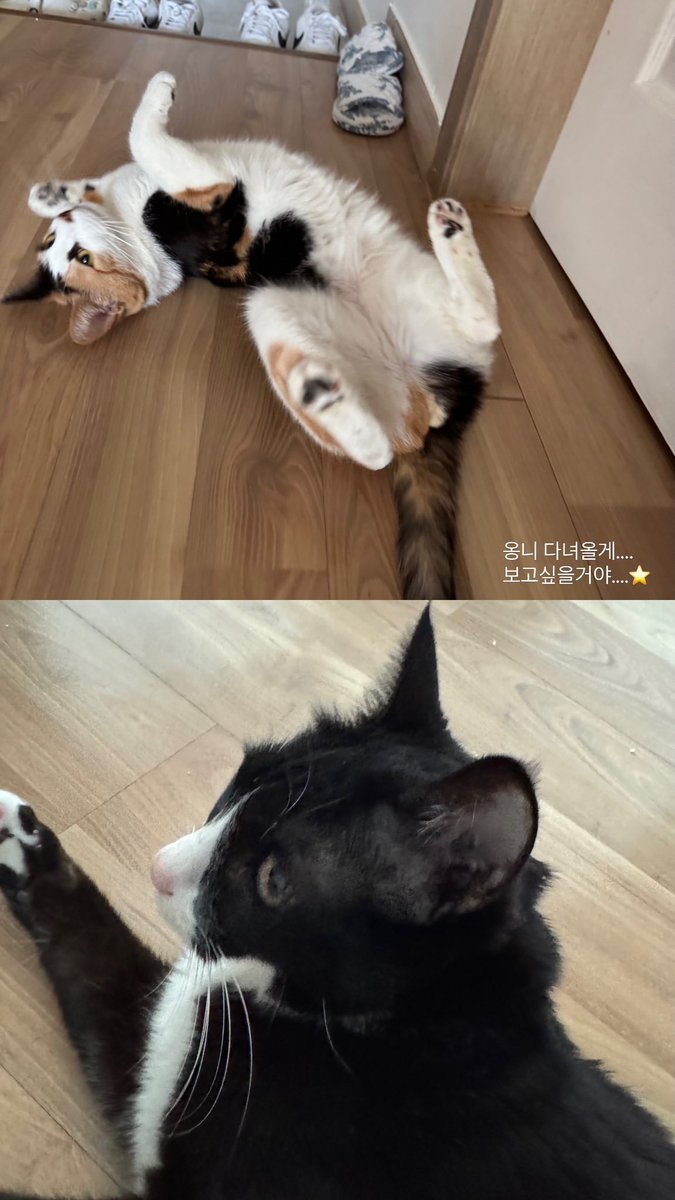 yeonwoo source tweet media