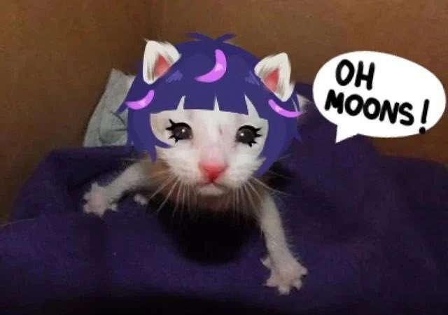 zoe tweet media