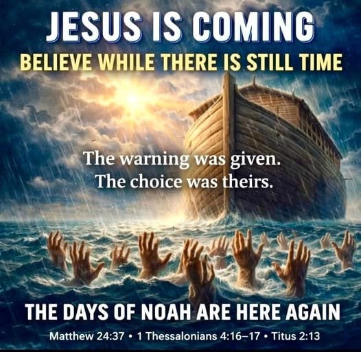 Benjamin Rapture Ready tweet media
