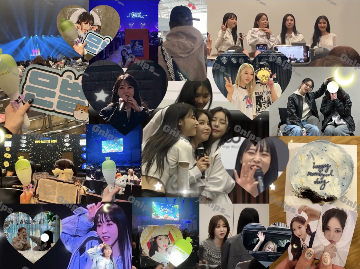 Gnlps_'s tweet photo. Looking for a MAMAMOO US tour buddy :)  
Going to New York, Chicago &amp; Fort Worth!  

From Toronto 🇨🇦  
Would love to meet, line up, or share the experience 💚  

DM me :)  

#MAMAMOO_2026_WORLD_TOUR https://t.co/6BBaylzdxq