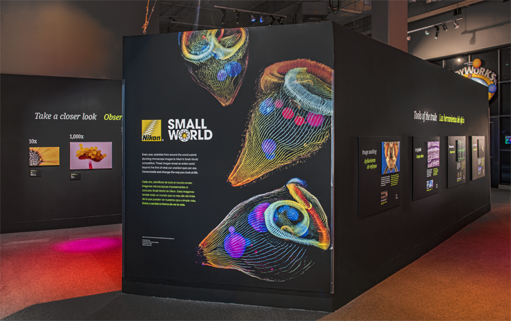 Nikon Microscope Solutions tweet media