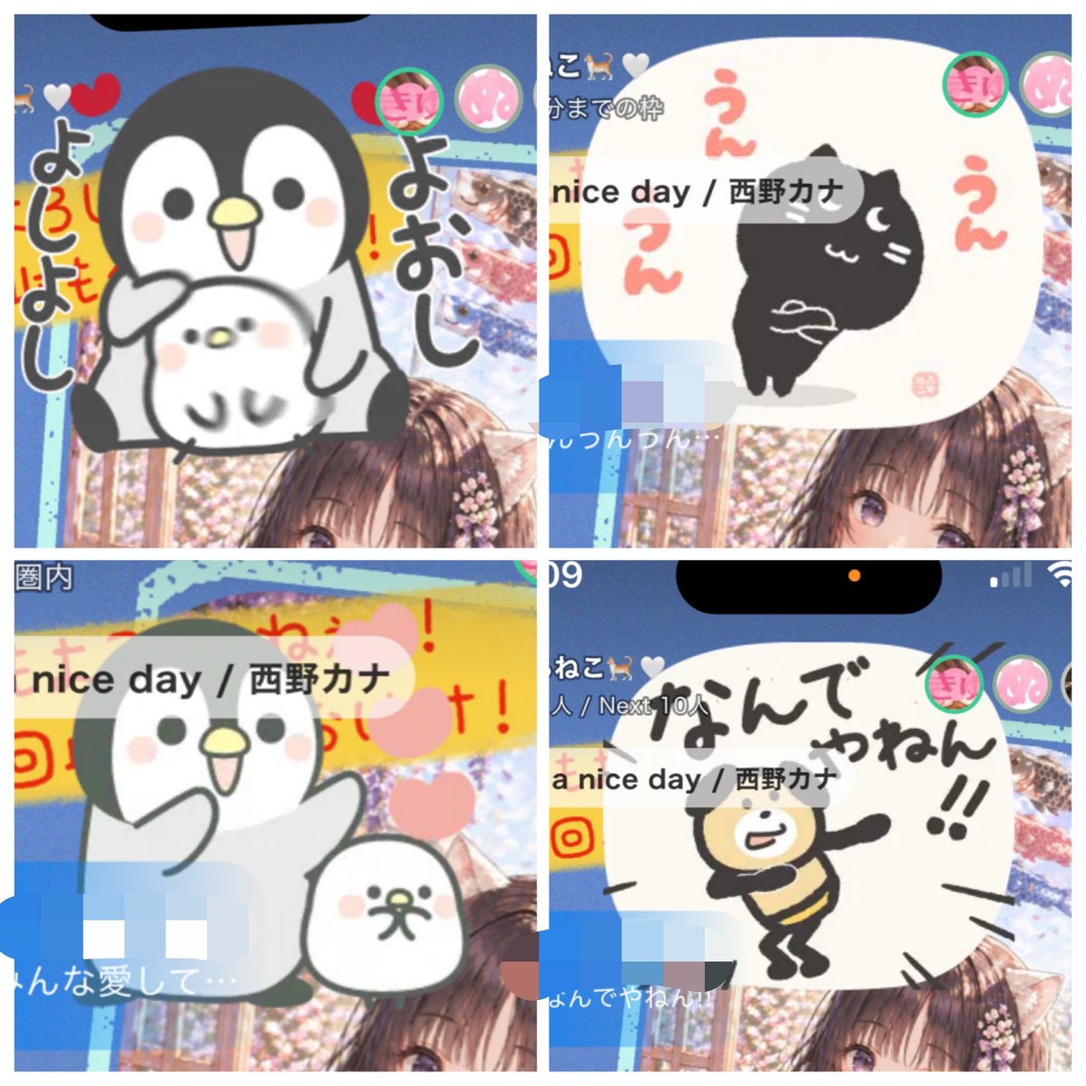 しろねこ🐈🤍 tweet media