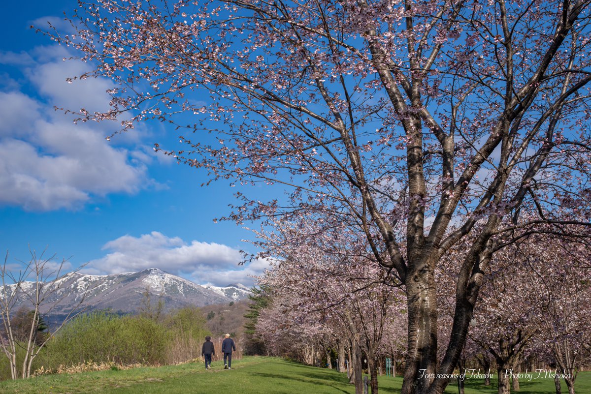 nishi@北海道十勝の風景写真 tweet media