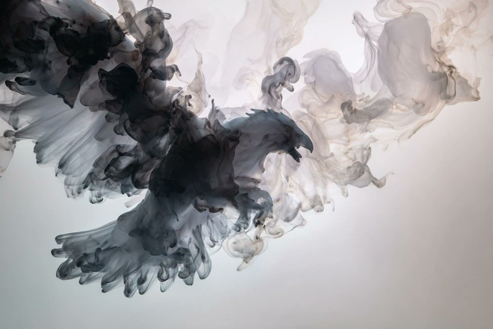 Ink Bloom Reverie Fine Art Composition