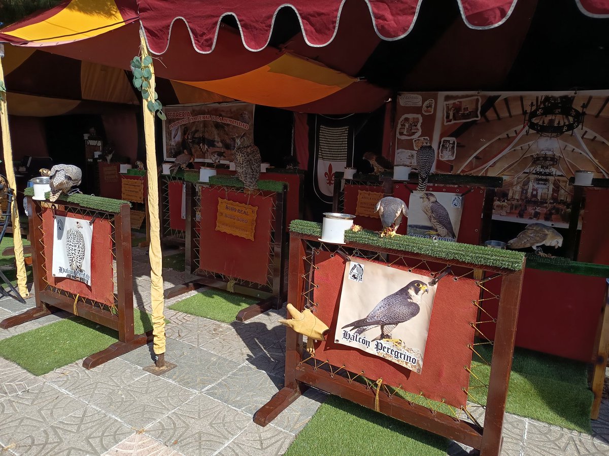 Feria medieval El Álamo 2026 #medievalelalamo #feriamedievalelalamo