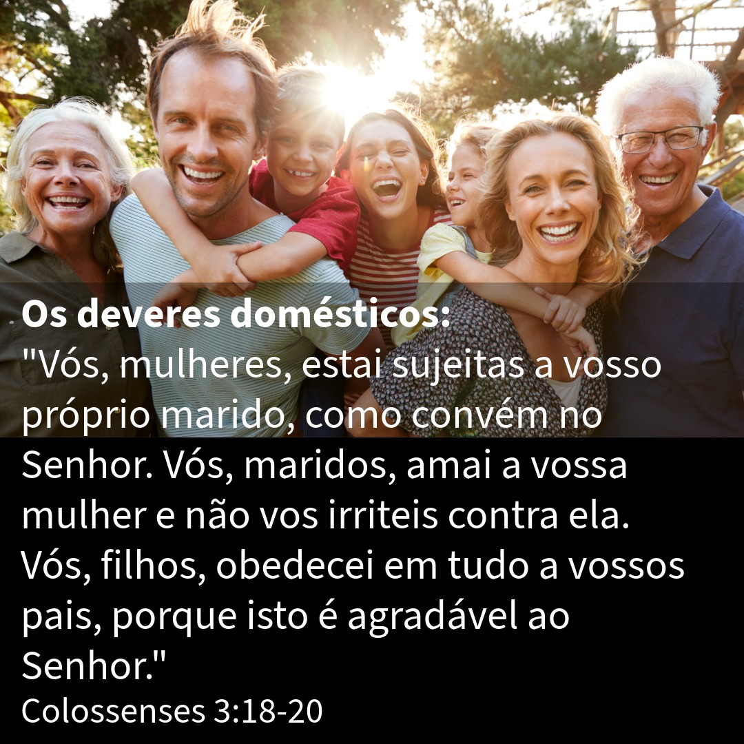 Brasa Viva tweet media