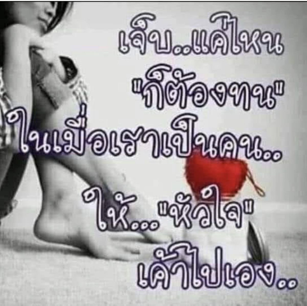 คุโรป๋าม tweet media