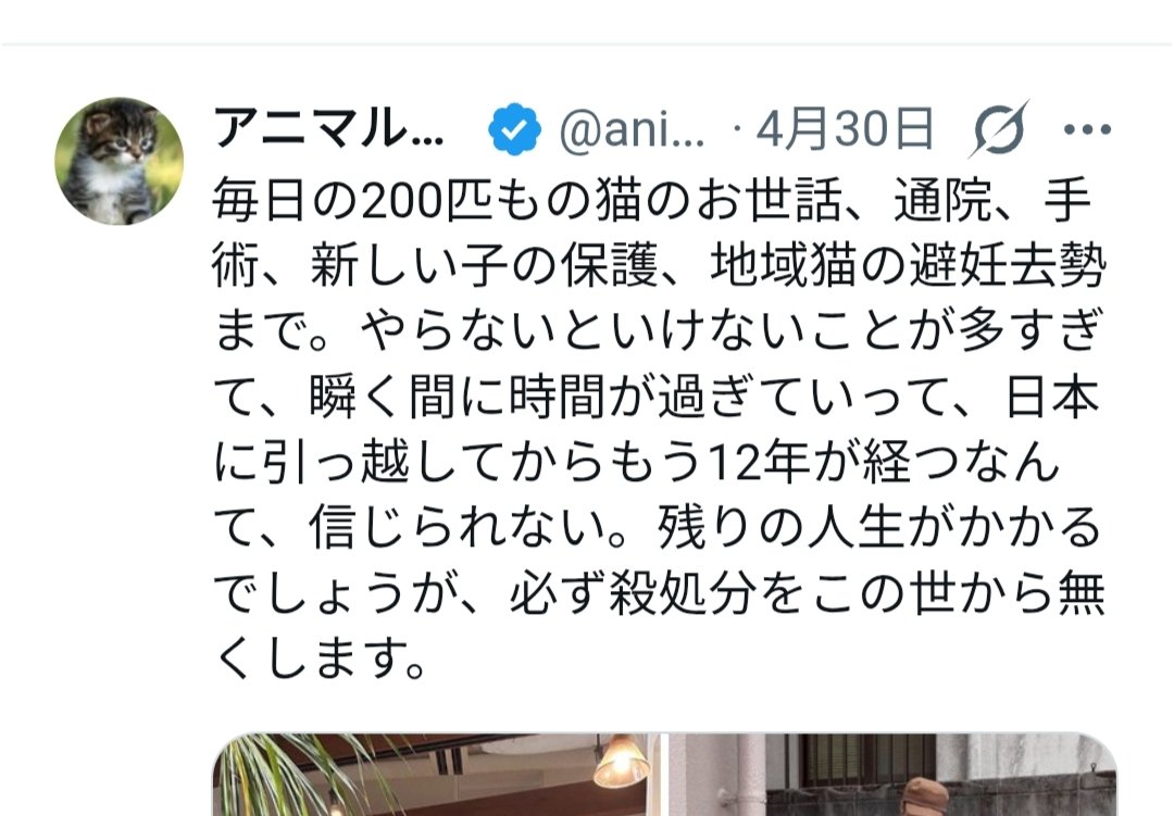 Mikitora🆕 tweet media