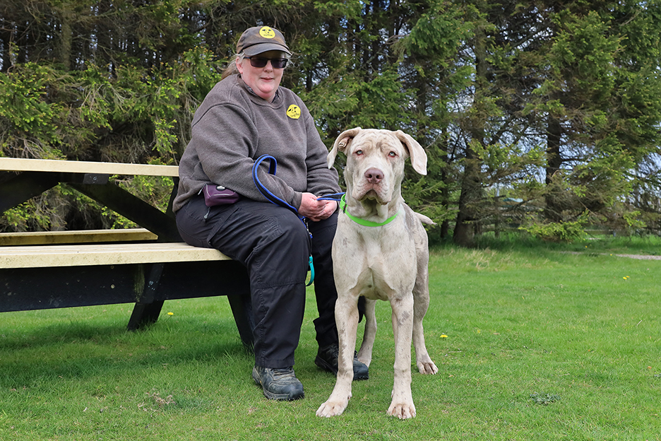 Dogs Trust Leeds tweet media