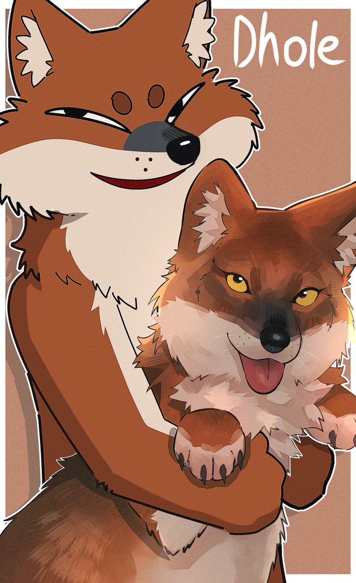 みゆを (@canidae360) on Twitter photo 