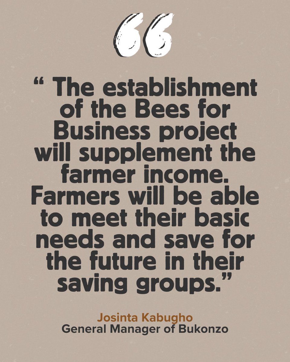 Shared Interest Foundation tweet media