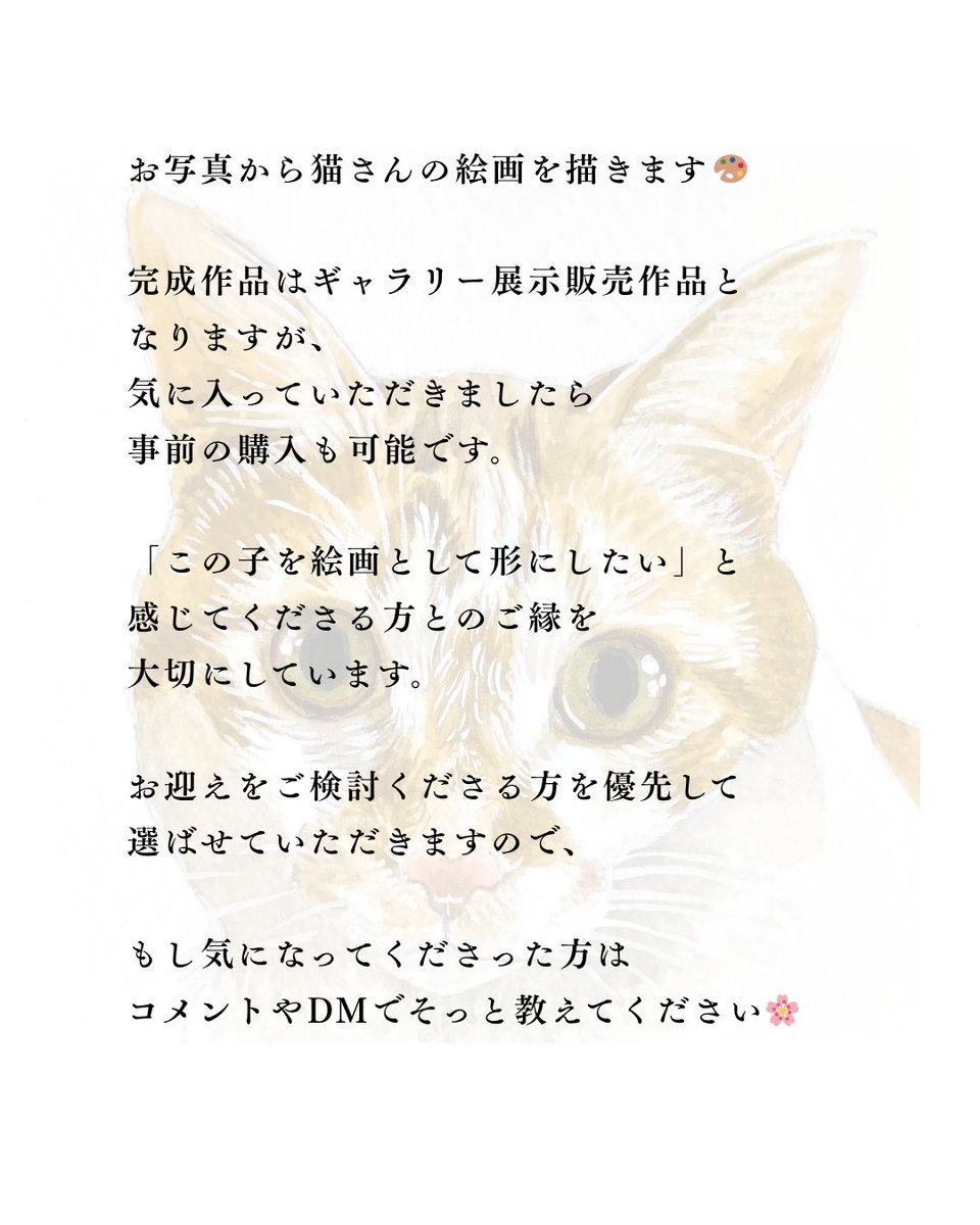 はち・ねこ画家🎨ご依頼受付中 tweet media